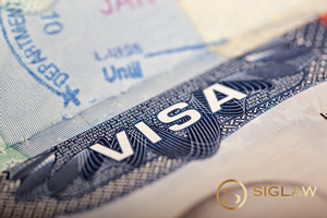 Cases of visa exemption