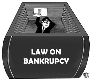 Conditions and procedures for enterprise bankruptcy
