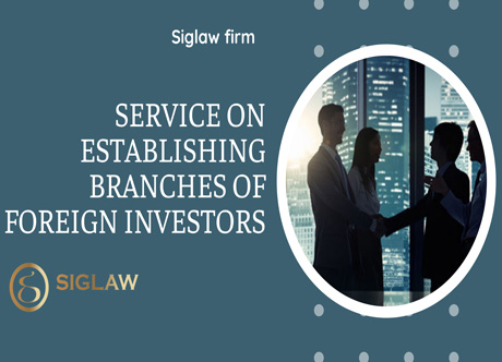 Provide consultation on establishing branches of foreign investors