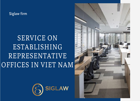 Provide consultation on establishing representative offices in Vietnam
