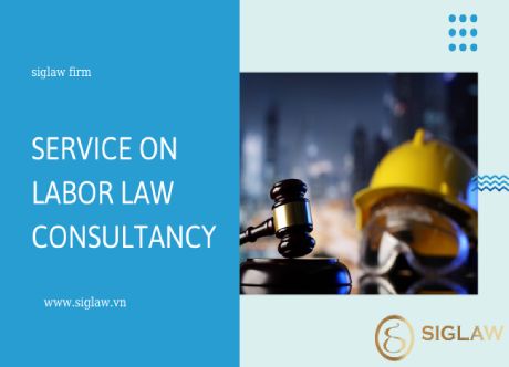 Provide consultation on Labor law 