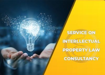 Provide consultation on Intellectual property law