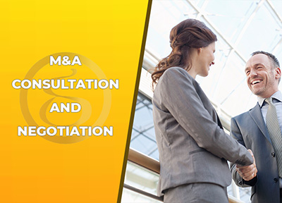 Provide consultation on M&A