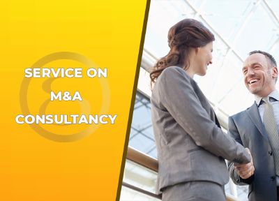 Provide consultation on M&A 