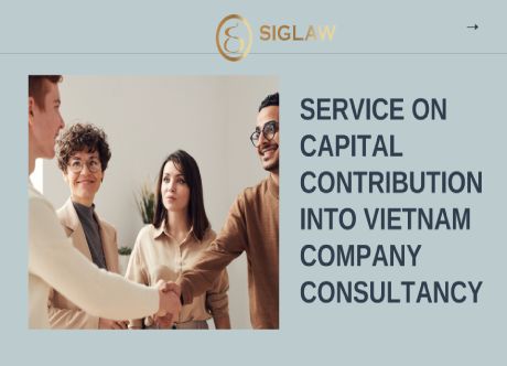 Provide consultation on capital contribution into Vietnam company