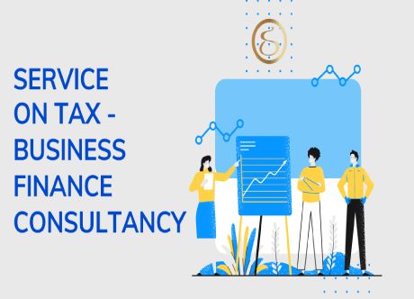 Provide consultation on Tax - Business Finance 