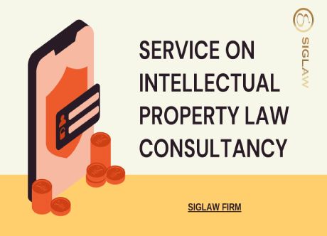 Provide consultation on Intellectual property law 
