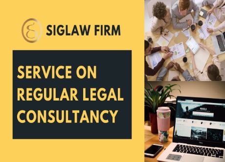 Provide Regular legal consultation