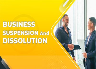 Provide consultation on business suspension and dissolution