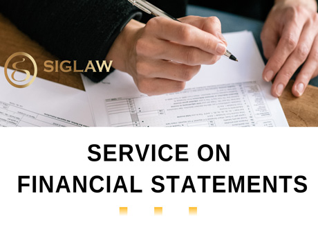 Provide consultation on financial statements