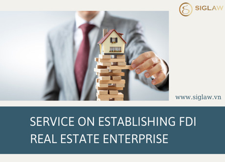 Provide consultation on establishing FDI Real estate enterprise 
