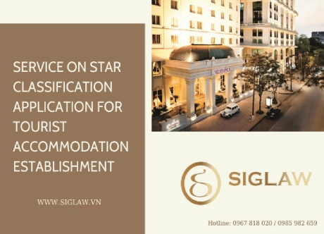 Provide consultation on star classification application for tourist accommodation establishment