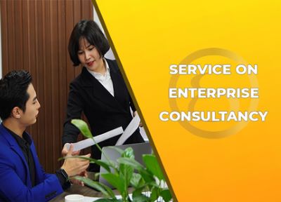 Provide consultation on Enterprise