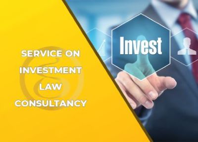 Provide consultation on Investment law