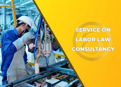 Provide consultation on Labor law