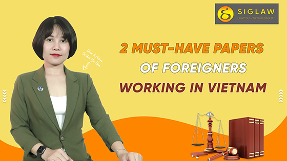 02 Types of main documents for Foreign workers working in Vietnam?