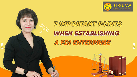 07 significant notes when establishing a FDI enterprise